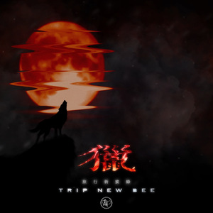 久久免费视频网站
