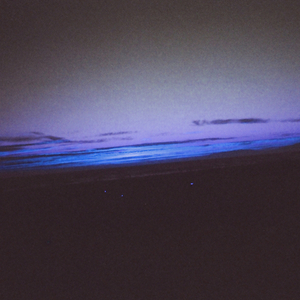 久久免费视频网站
