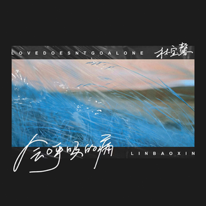 久久免费视频网站
