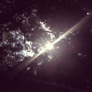 久久免费视频网站
