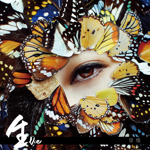 久久免费视频网站
